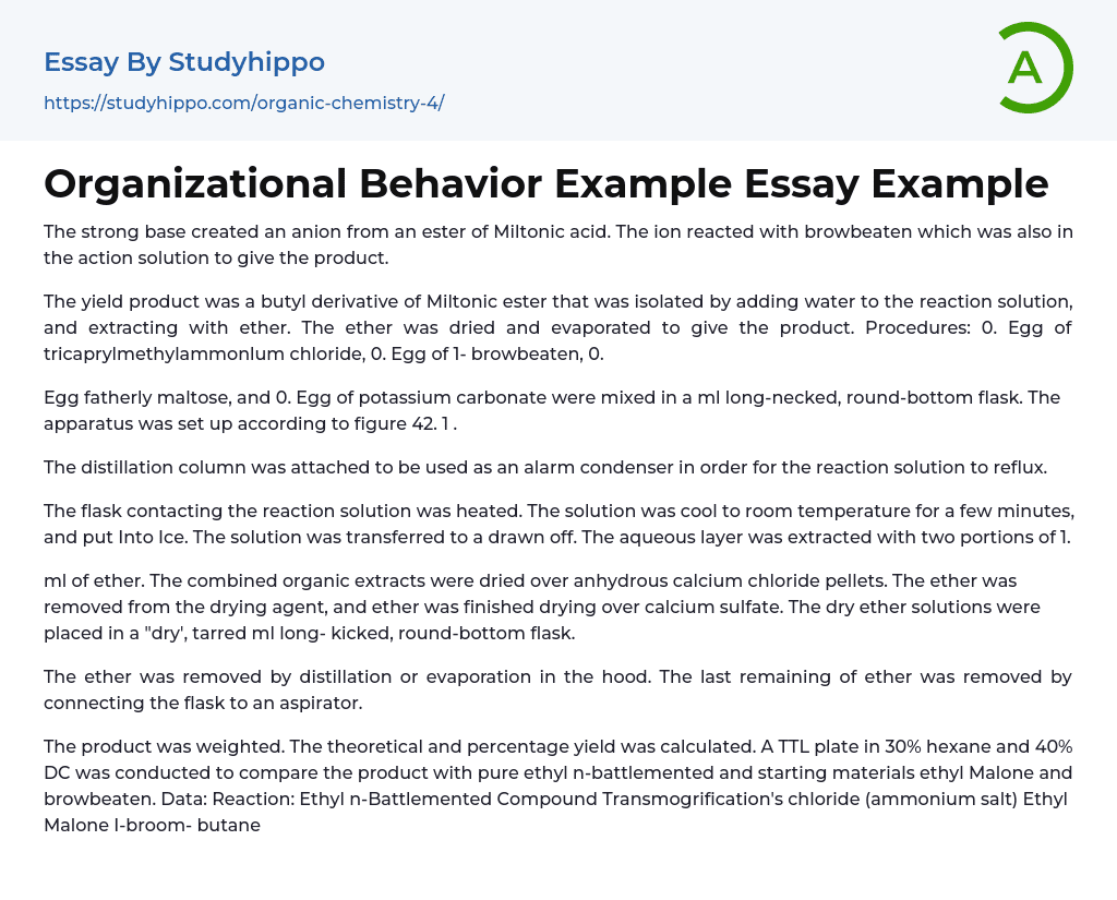 Organizational Behavior Example Essay Example