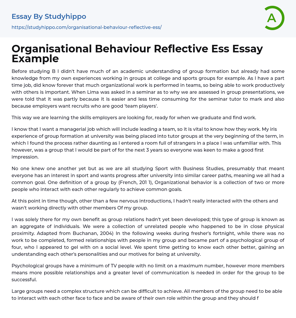 Organisational Behaviour Reflective Ess Essay Example