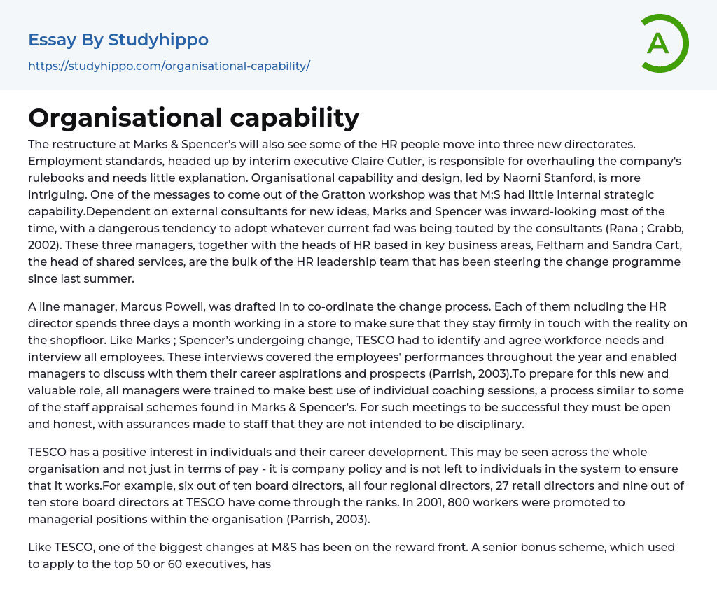 Organisational capability Essay Example