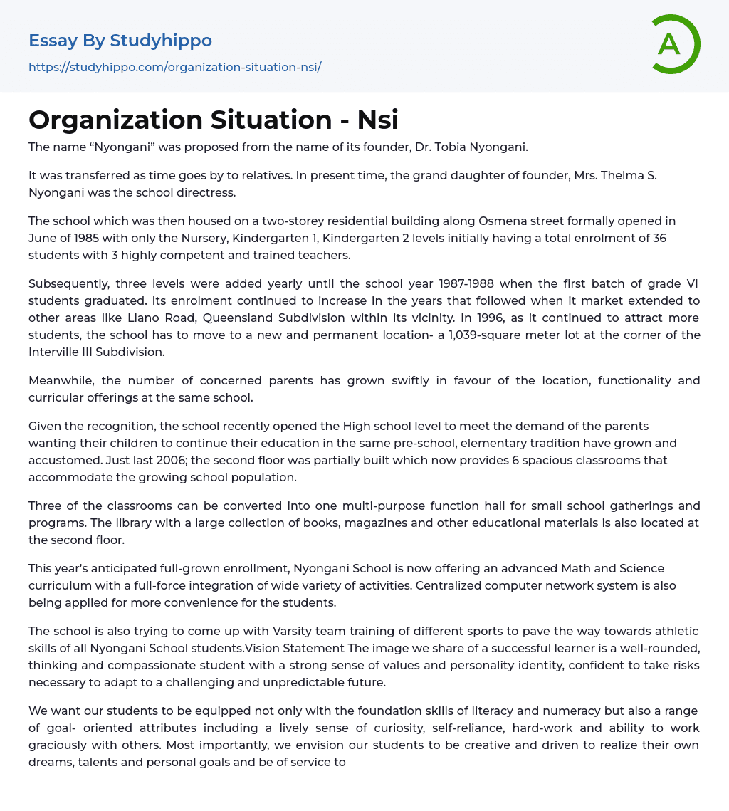 Organization Situation – Nsi Essay Example