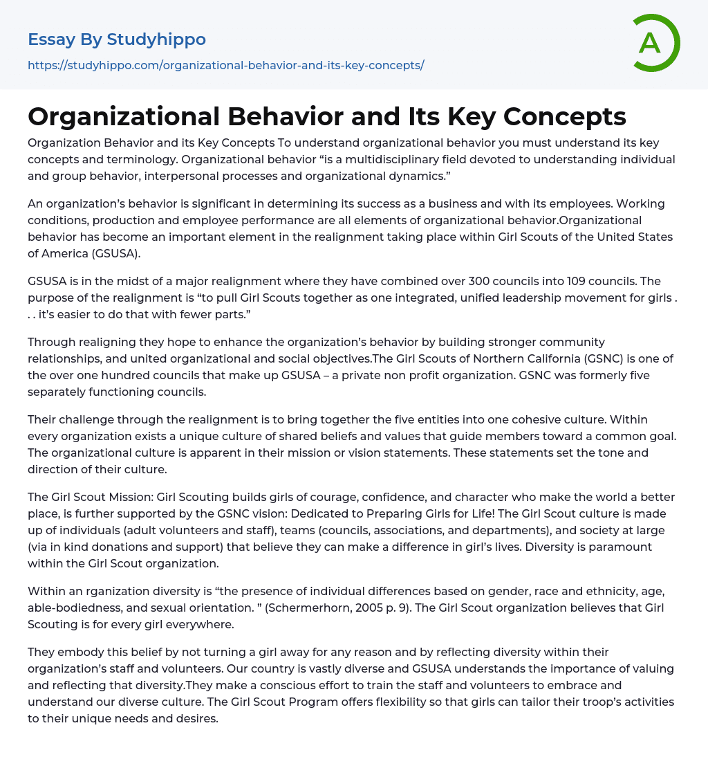 Organizational Behavior and Its Key Concepts Essay Example