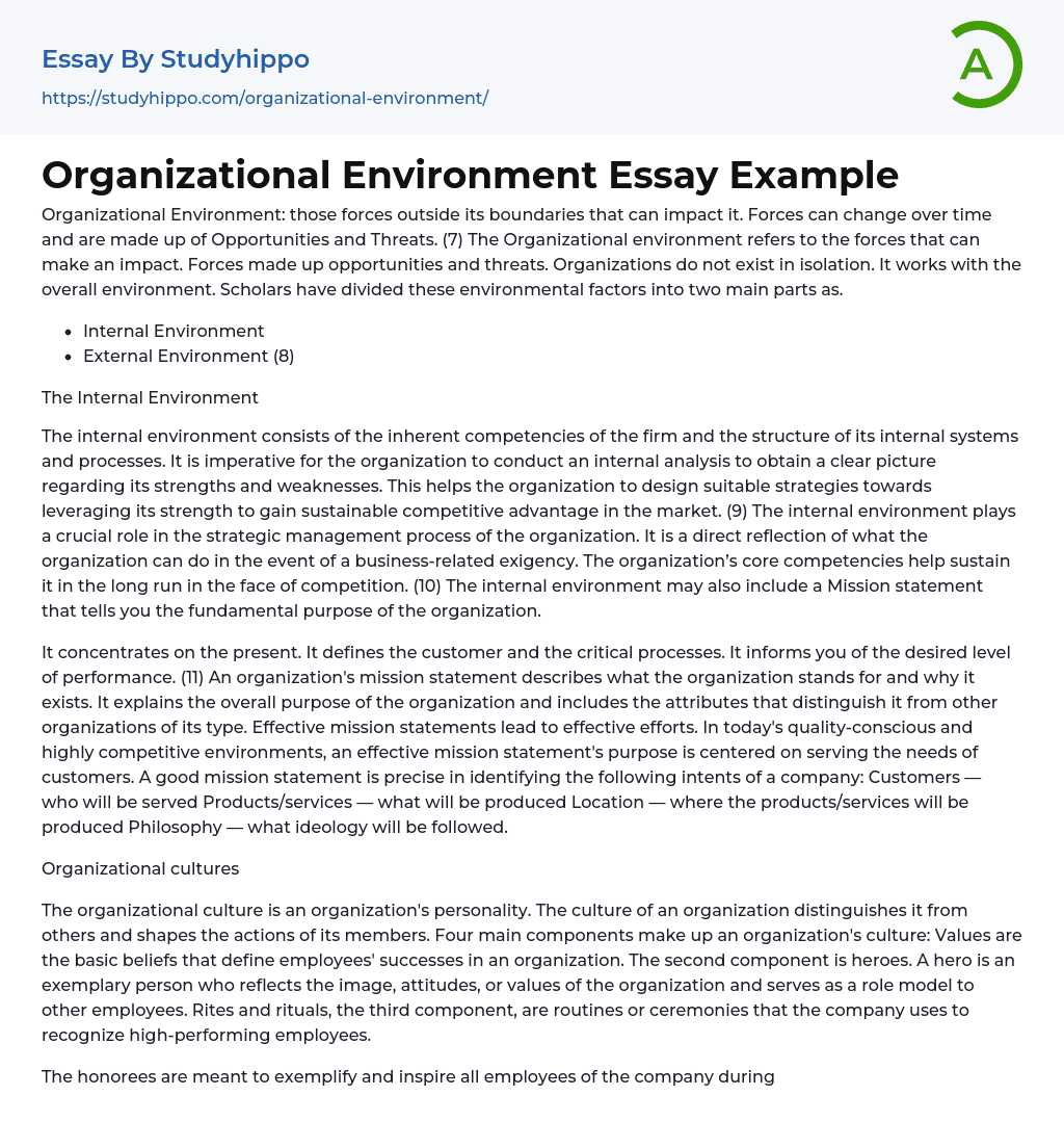 Organizational Environment Essay Example