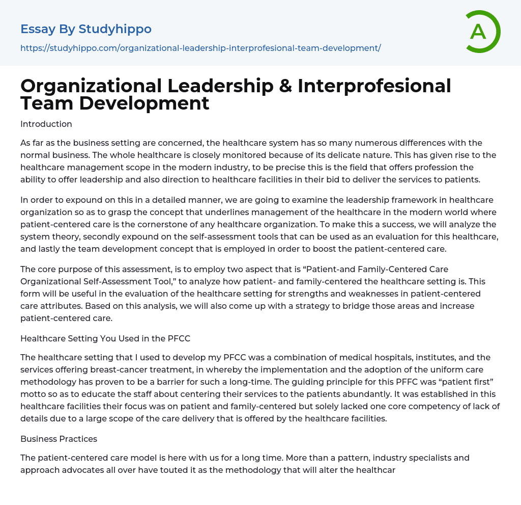 Organizational Leadership & Interprofesional Team Development Essay Example