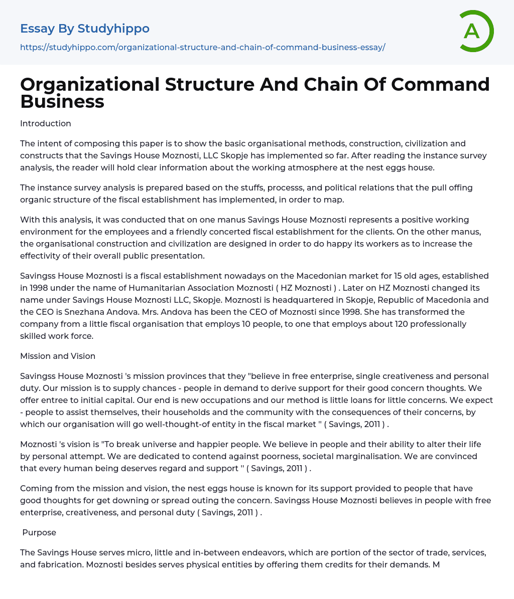Organizational Structure And Chain Of Command Business Essay Example
