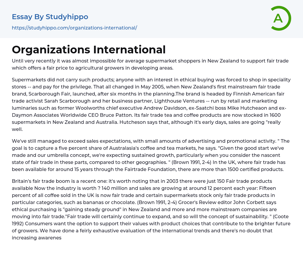 Organizations International Essay Example