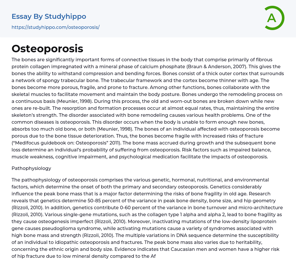 Osteoporosis Essay Example