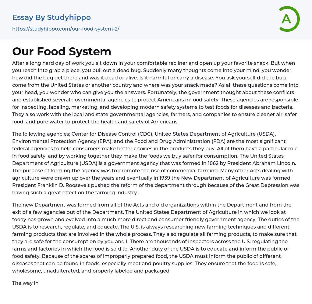 Our Food System Essay Example