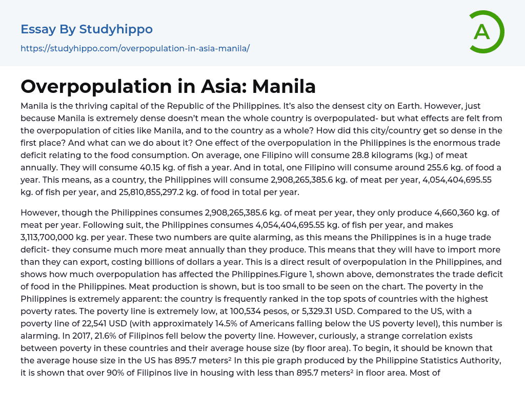 Overpopulation in Asia: Manila Essay Example