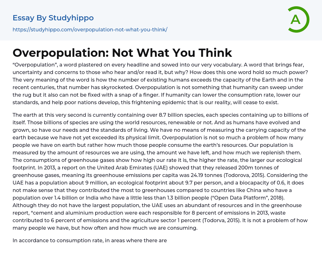 Overpopulation: Not What You Think Essay Example
