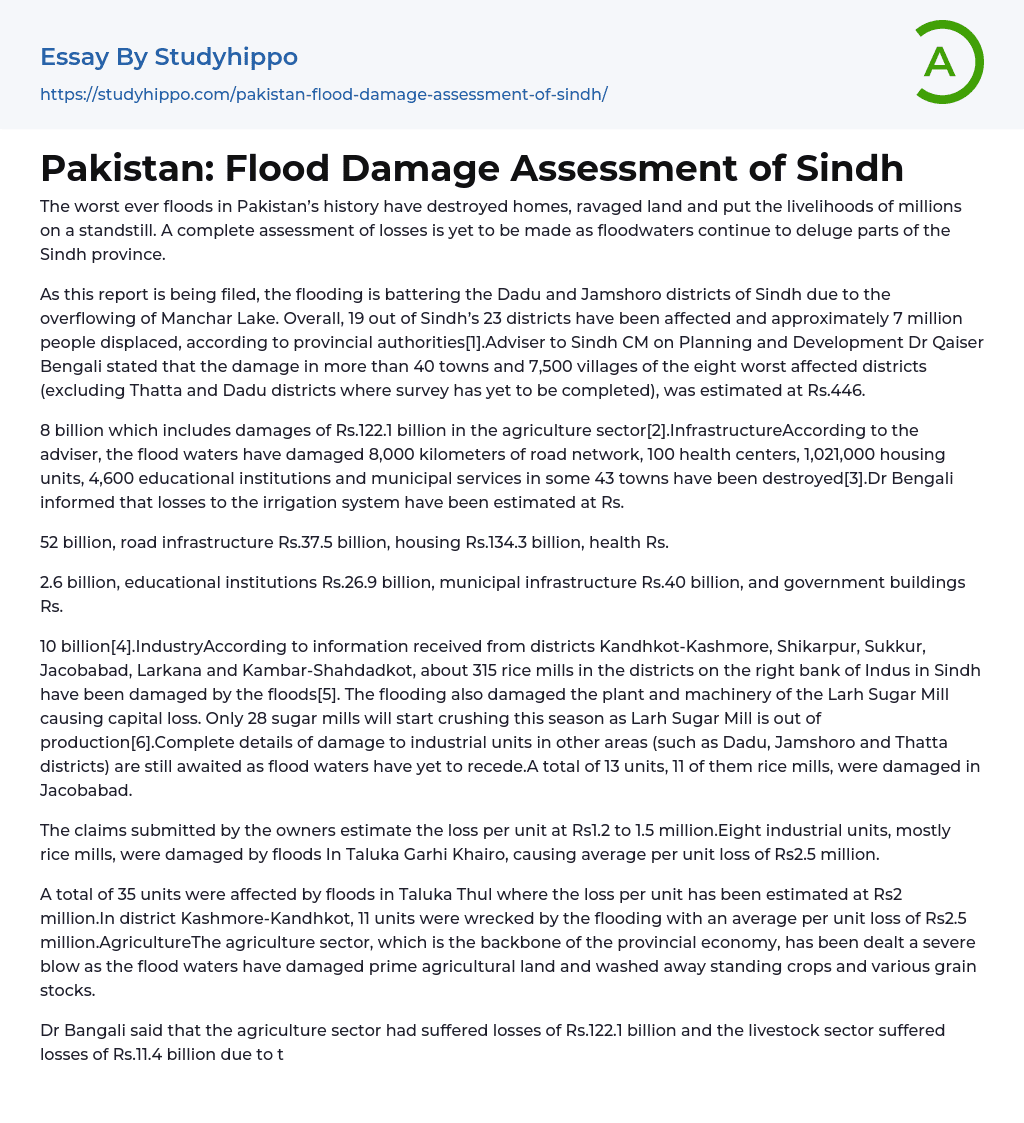 Pakistan: Flood Damage Assessment of Sindh Essay Example