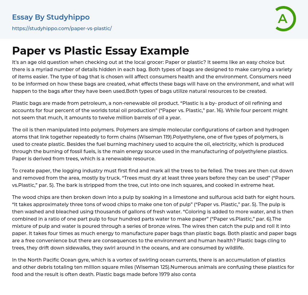 Paper vs Plastic Essay Example