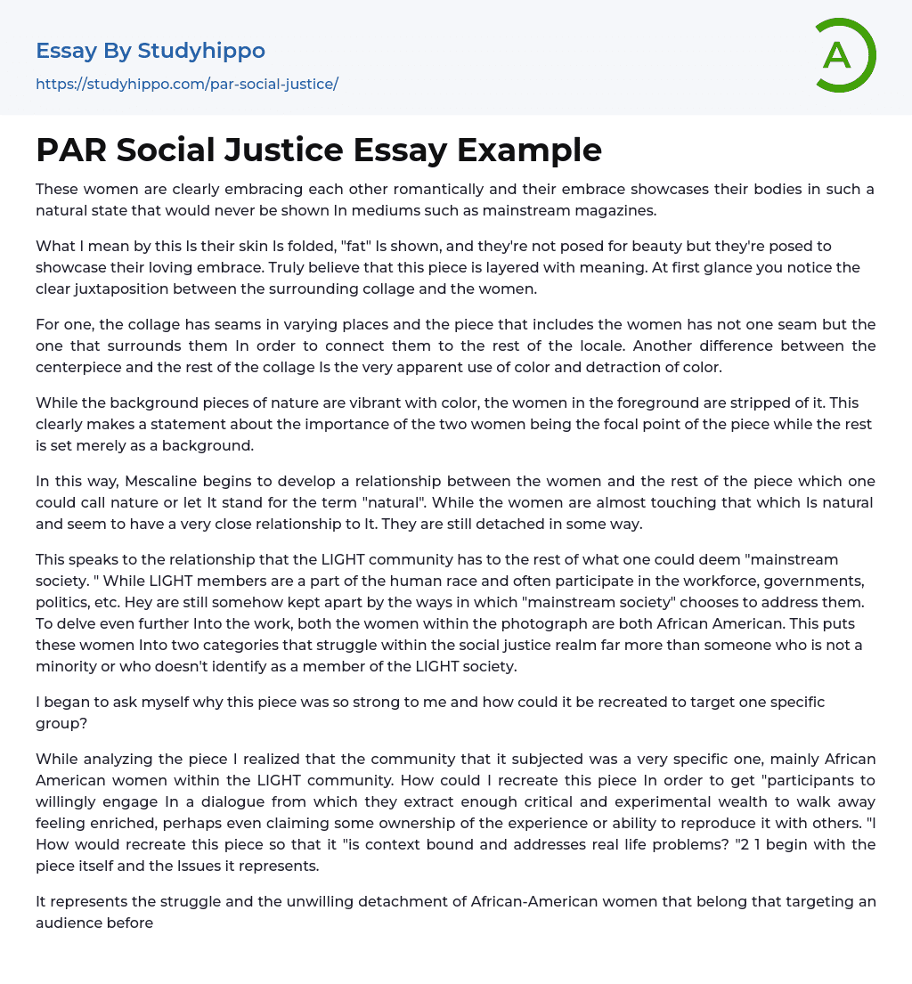 PAR Social Justice Essay Example