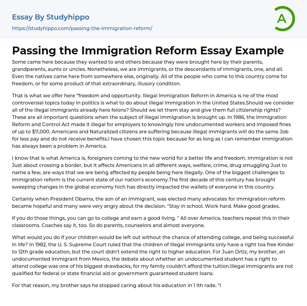 Passing the Immigration Reform Essay Example