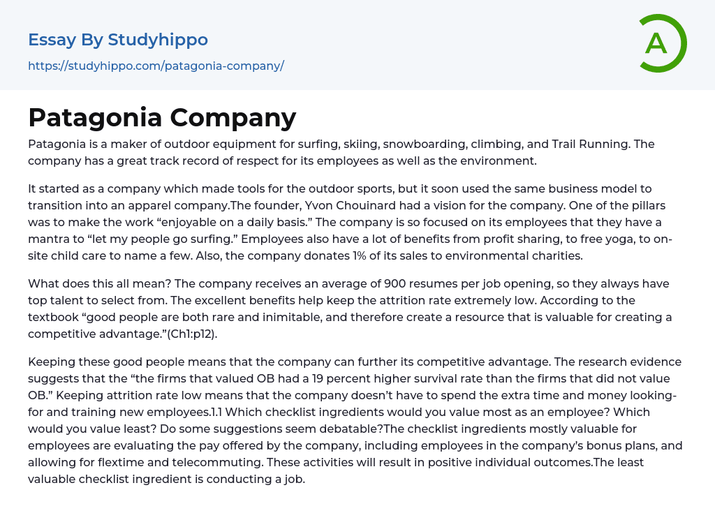 Patagonia Company Essay Example