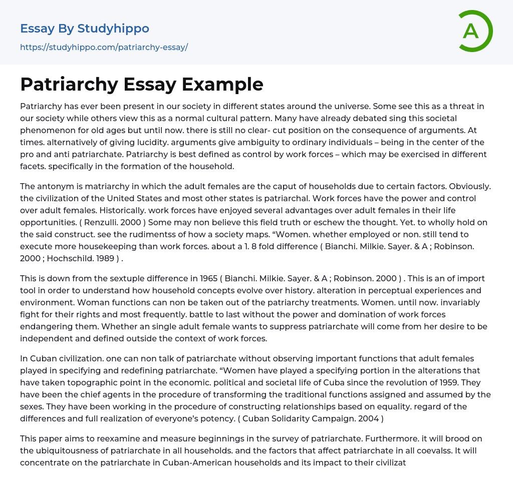 Patriarchy Essay Example