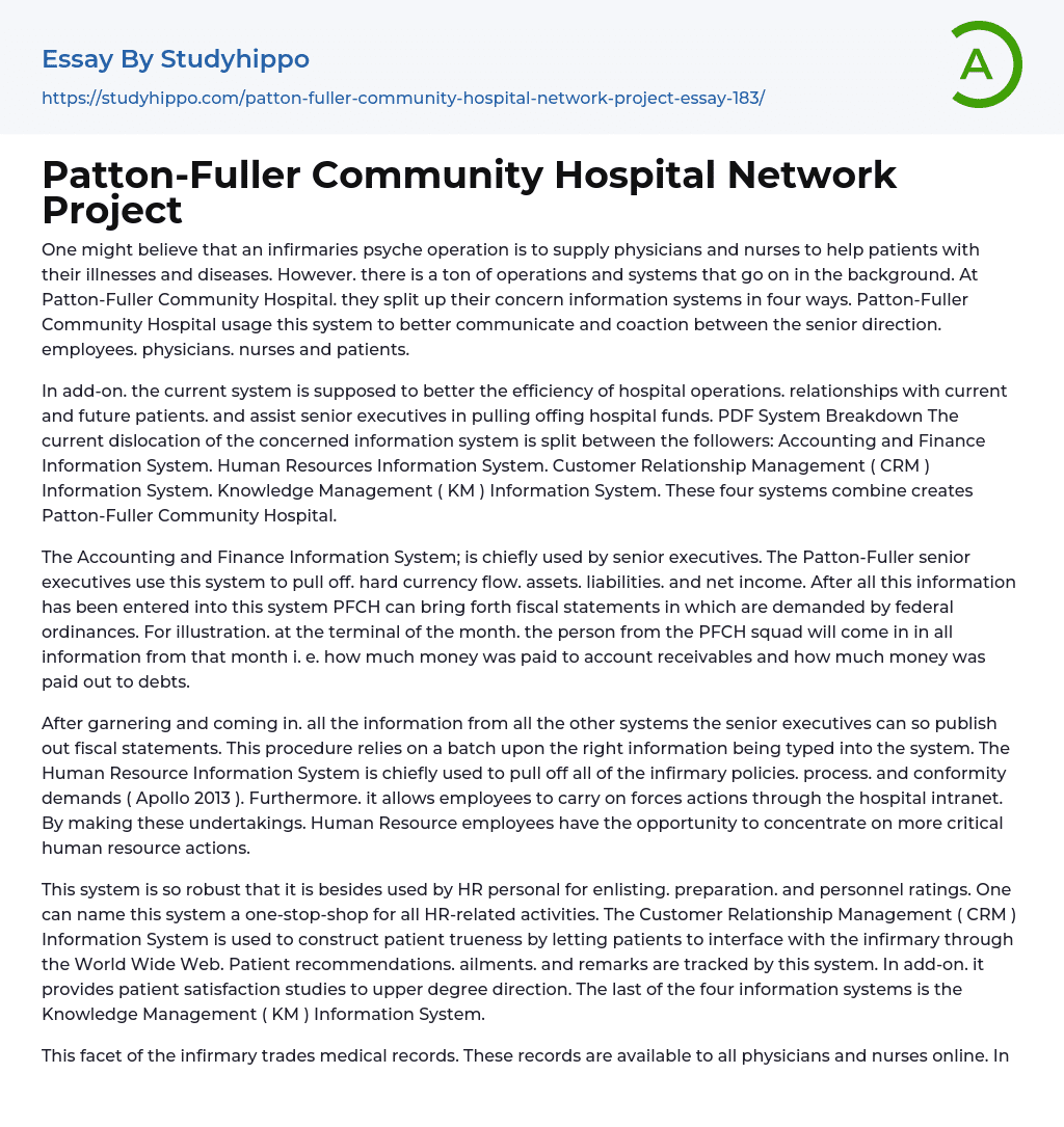Patton-Fuller Community Hospital Network Project Essay Example