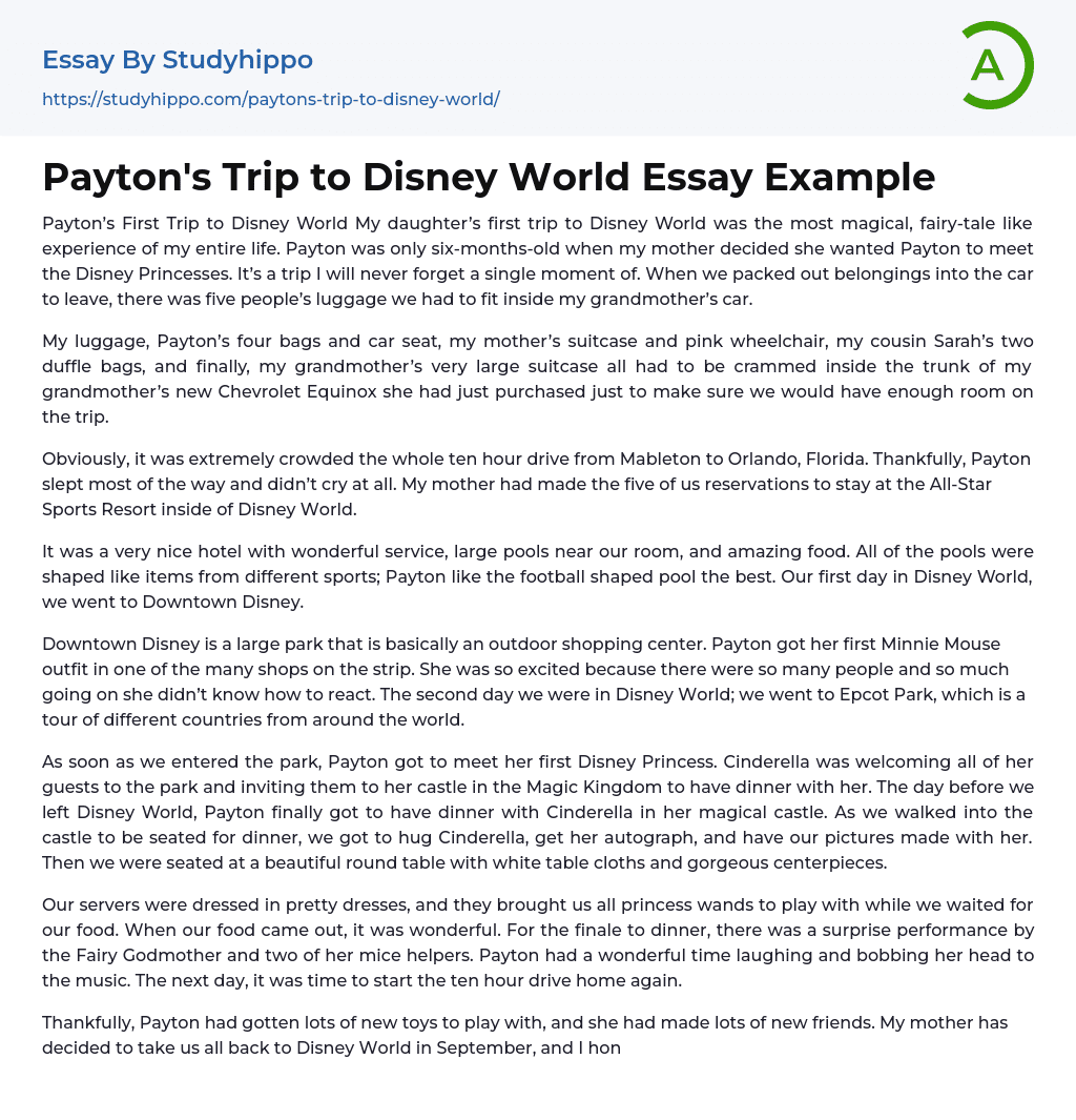 Payton’s Trip to Disney World Essay Example