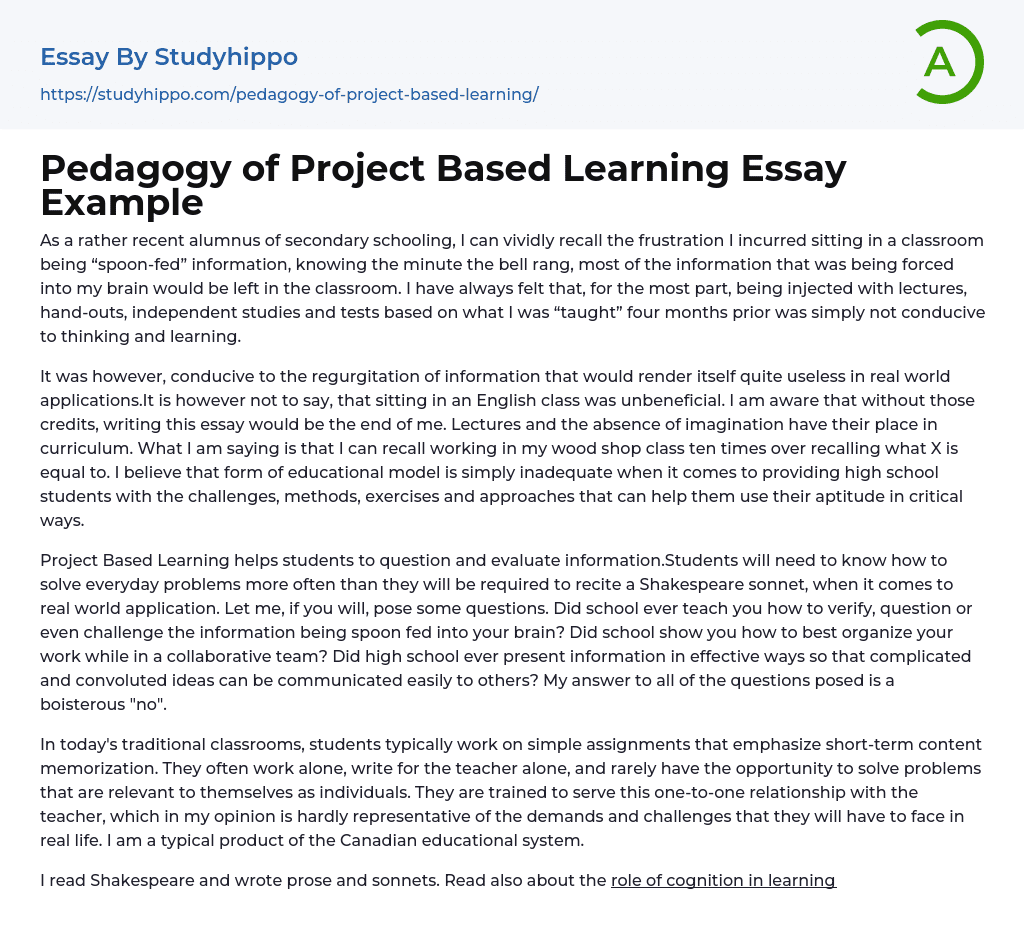 Pedagogy of Project Based Learning Essay Example