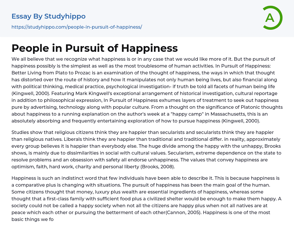 People in Pursuit of Happiness Essay Example