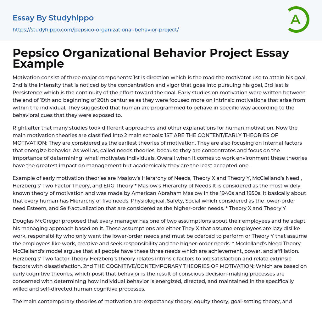 Pepsico Organizational Behavior Project Essay Example