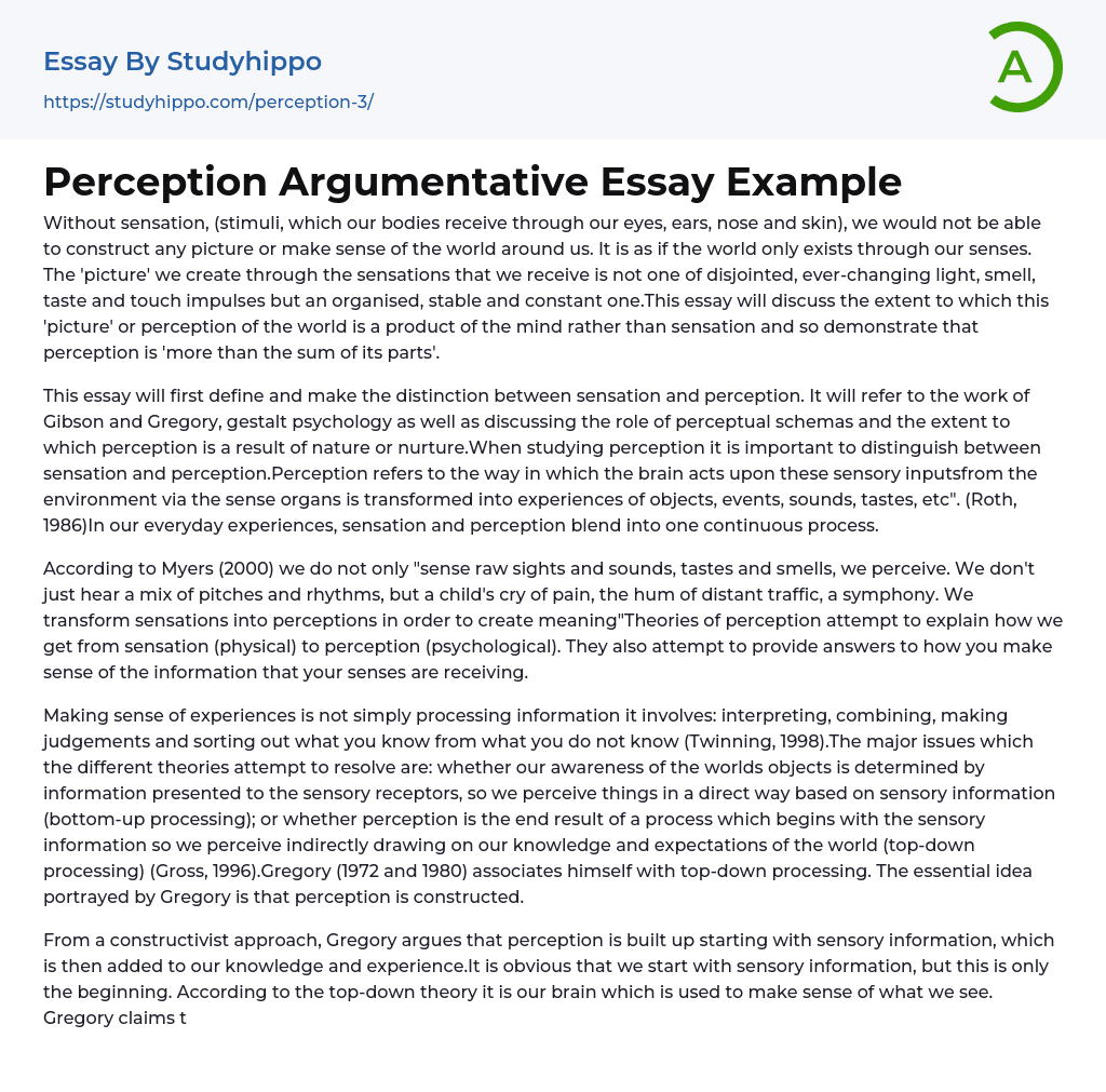 Perception Argumentative Essay Example