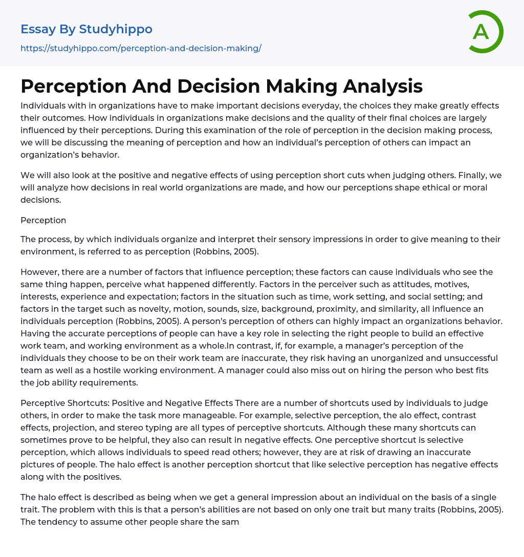Perception And Decision Making Analysis Essay Example