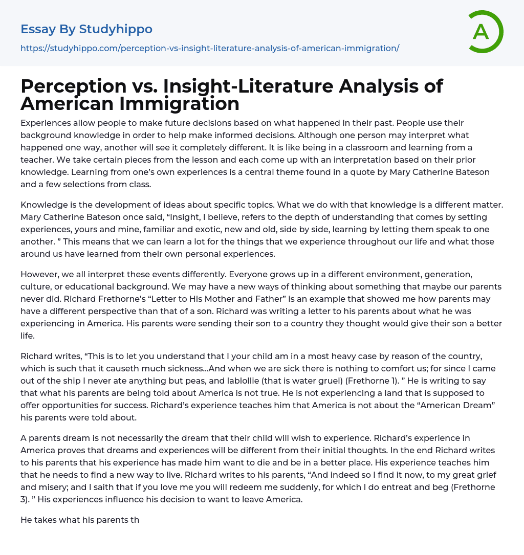 Perception vs. Insight-Literature Analysis of American Immigration Essay Example