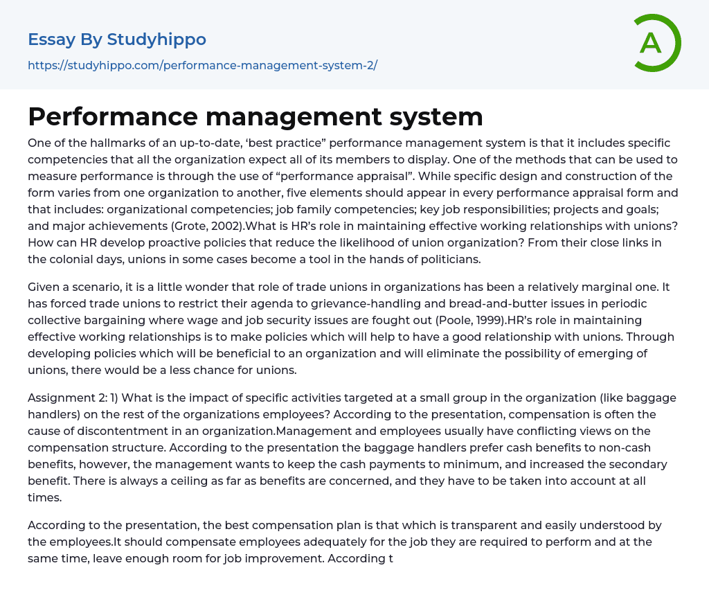 Performance management system Essay Example
