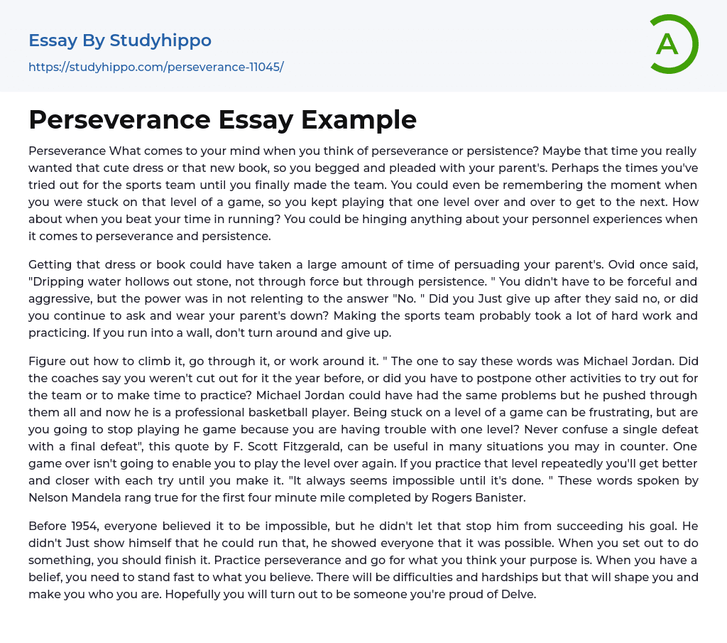 Perseverance Essay Example