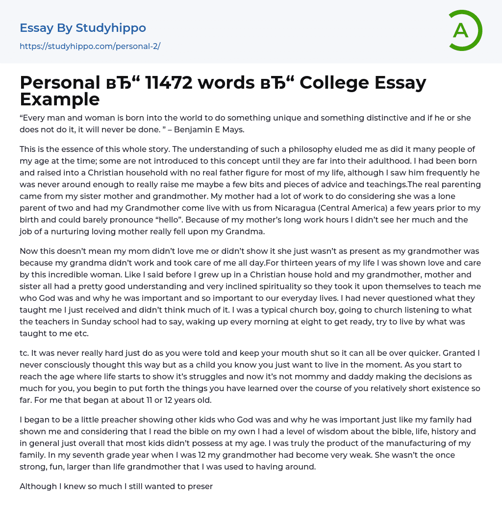 Personal 11472 words College Essay Example