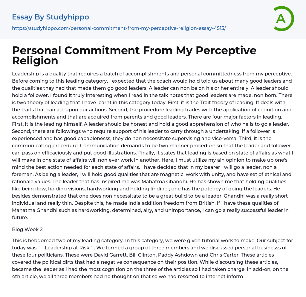 Personal Commitment From My Perceptive Religion Essay Example