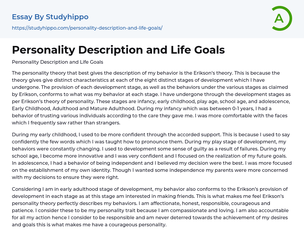 Personality Description and Life Goals Essay Example