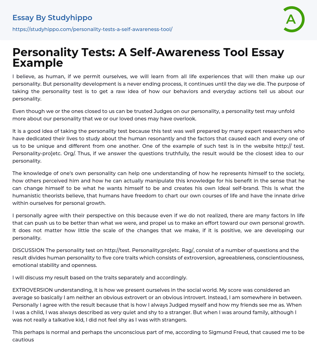 Personality Tests: A Self-Awareness Tool Essay Example