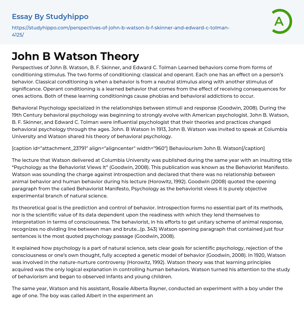 John B Watson Theory Essay Example