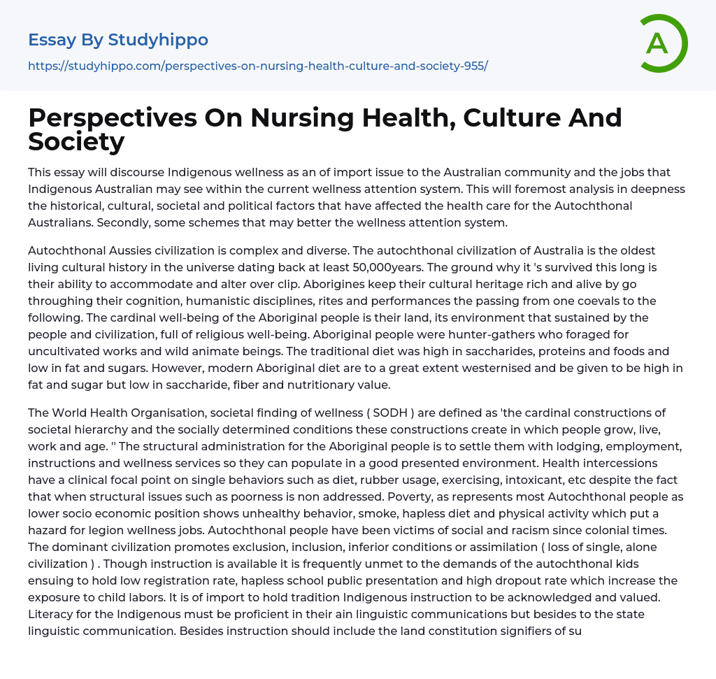 Perspectives On Nursing Health, Culture And Society Essay Example