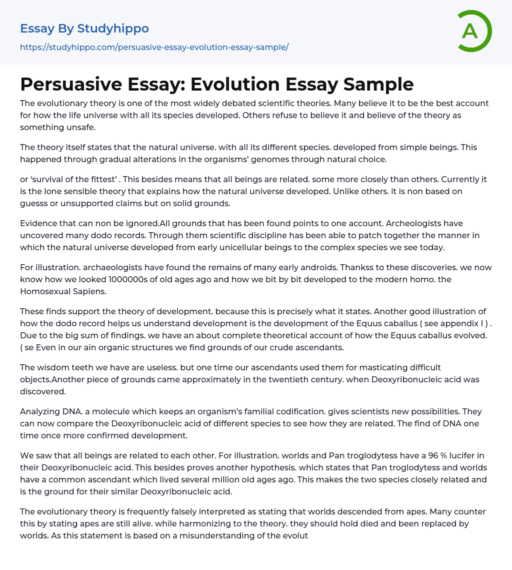 Persuasive Essay: Evolution Essay Sample