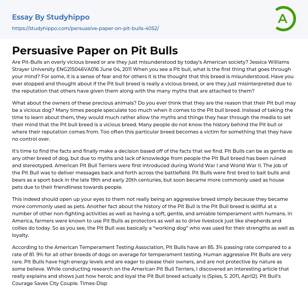 Persuasive Paper on Pit Bulls Essay Example