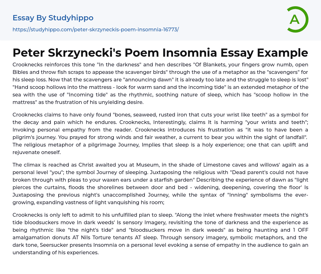 Peter Skrzynecki’s Poem Insomnia Essay Example