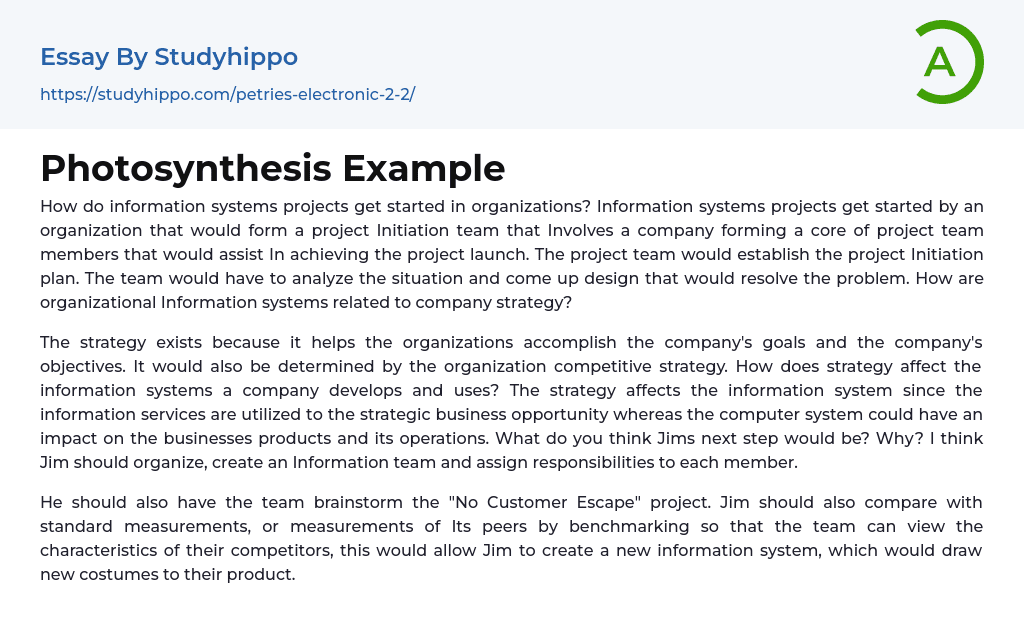 Photosynthesis Example Essay Example