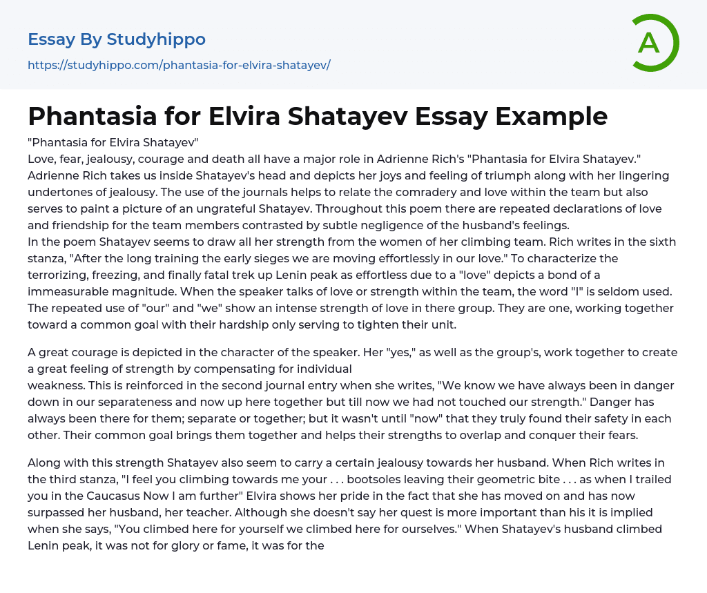 Phantasia for Elvira Shatayev Essay Example