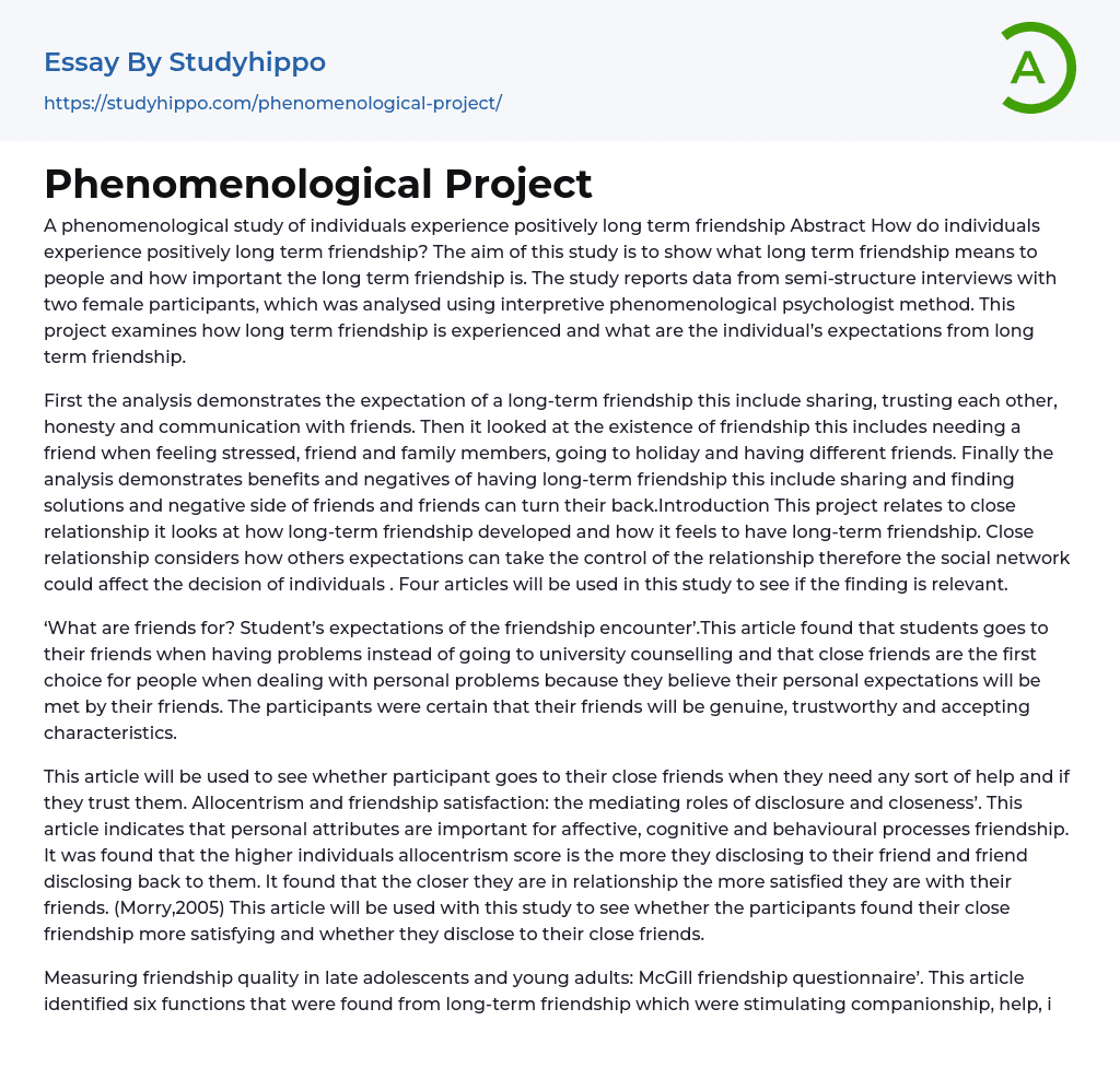 Phenomenological Project Essay Example