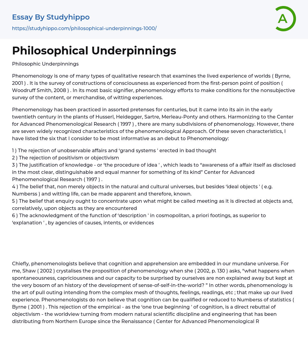 Philosophical Underpinnings Essay Example