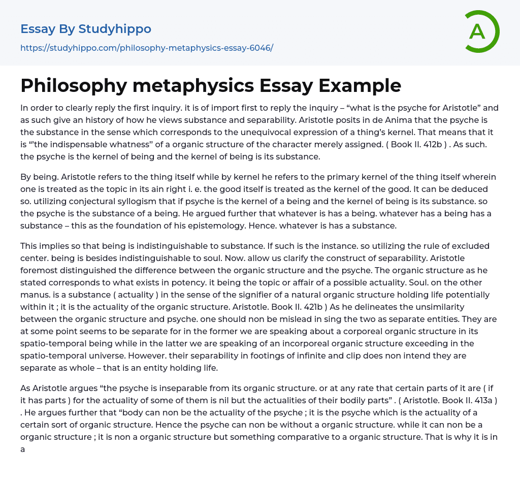 Philosophy metaphysics Essay Example