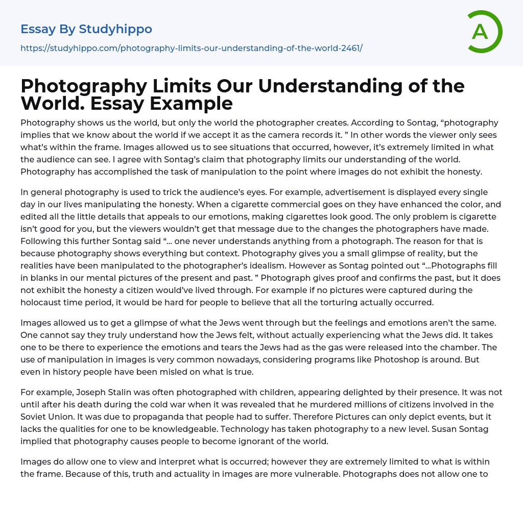 Photography Limits Our Understanding of the World. Essay Example