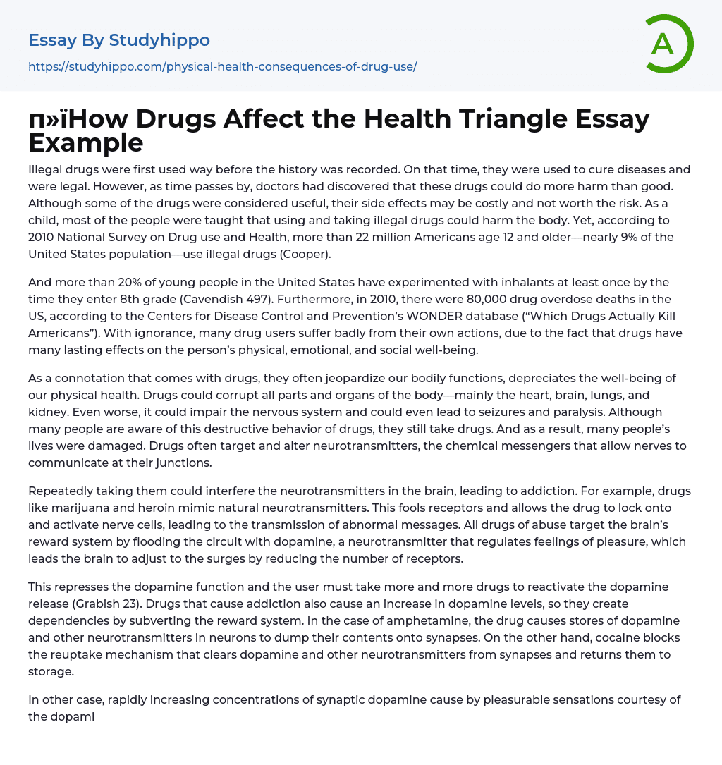 How Drugs Affect the Health Triangle Essay Example