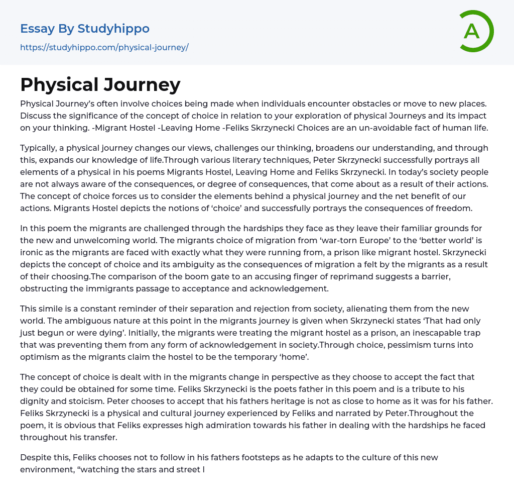 Physical Journey Essay Example