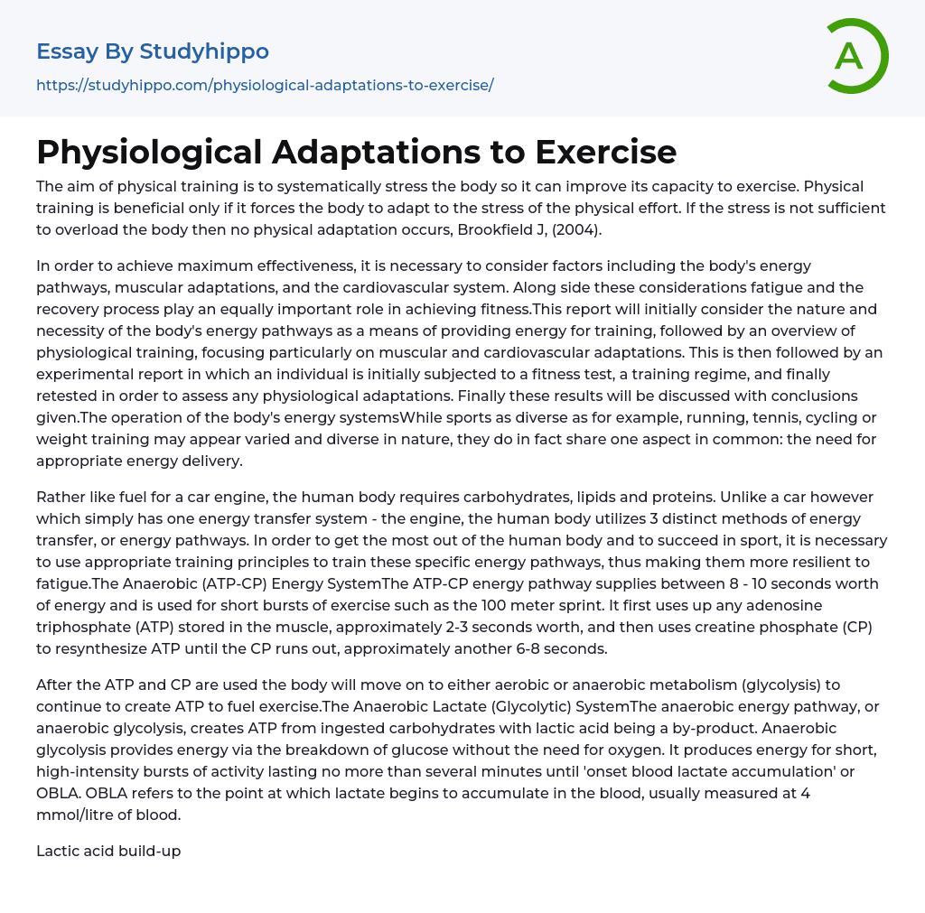 Physiological Adaptations to Exercise Essay Example