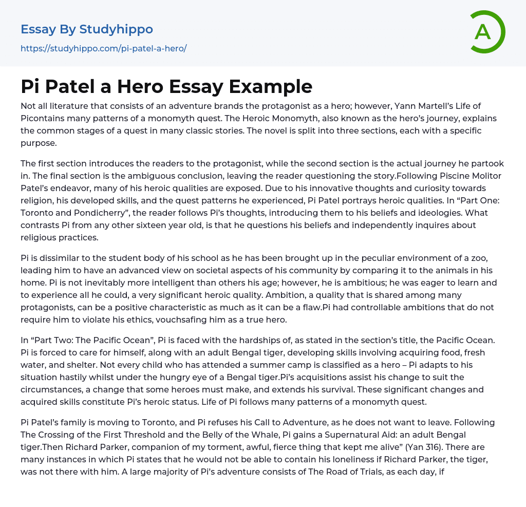 Pi Patel a Hero Essay Example