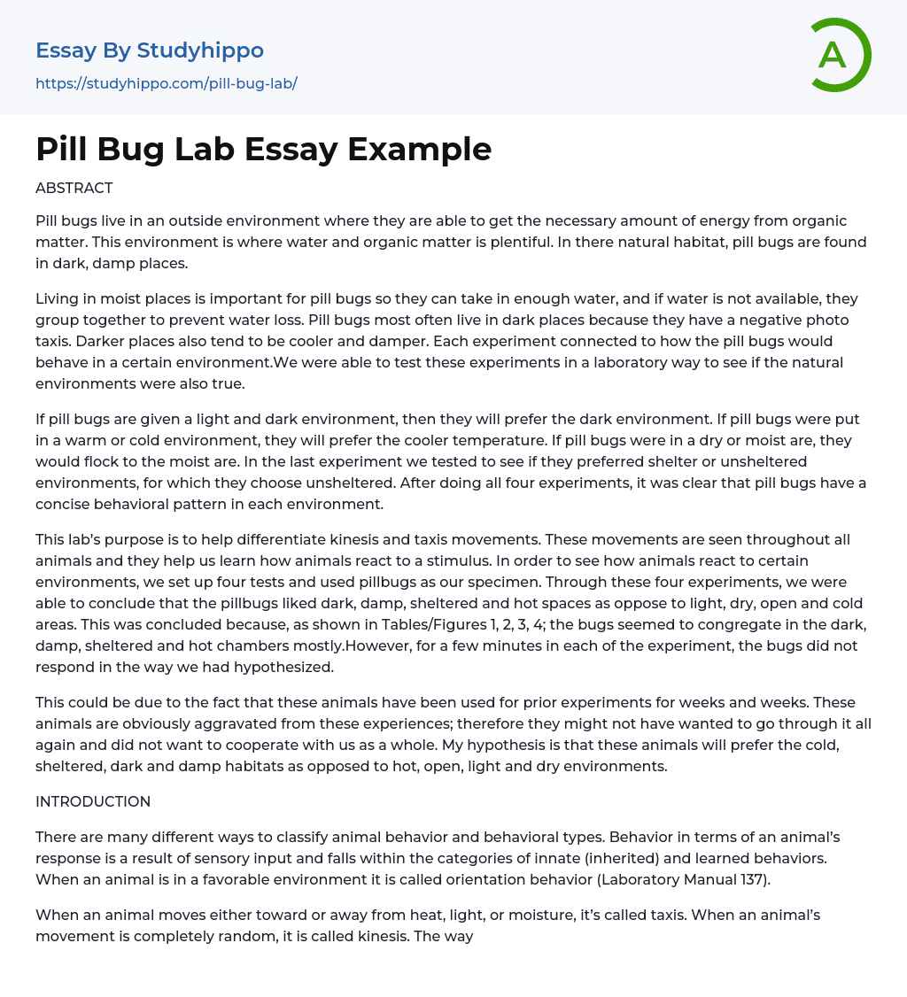 Pill Bug Lab Essay Example