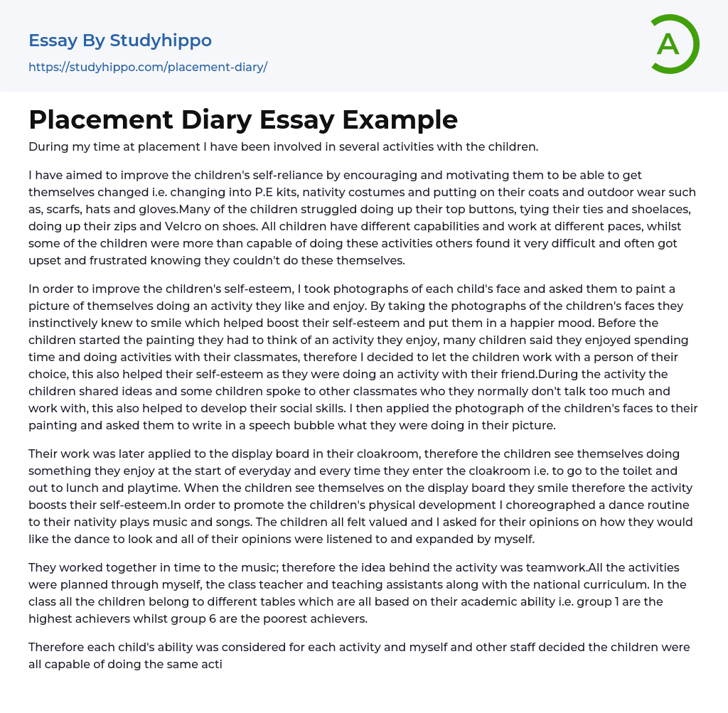 Placement Diary Essay Example